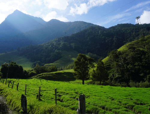 Sunlight on Valle de Cocora