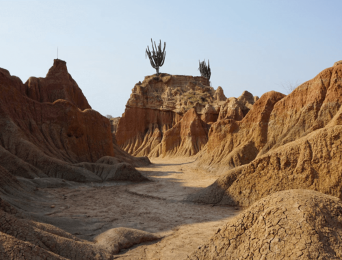 Tatacoa Desert Sand Gorges with Cactus