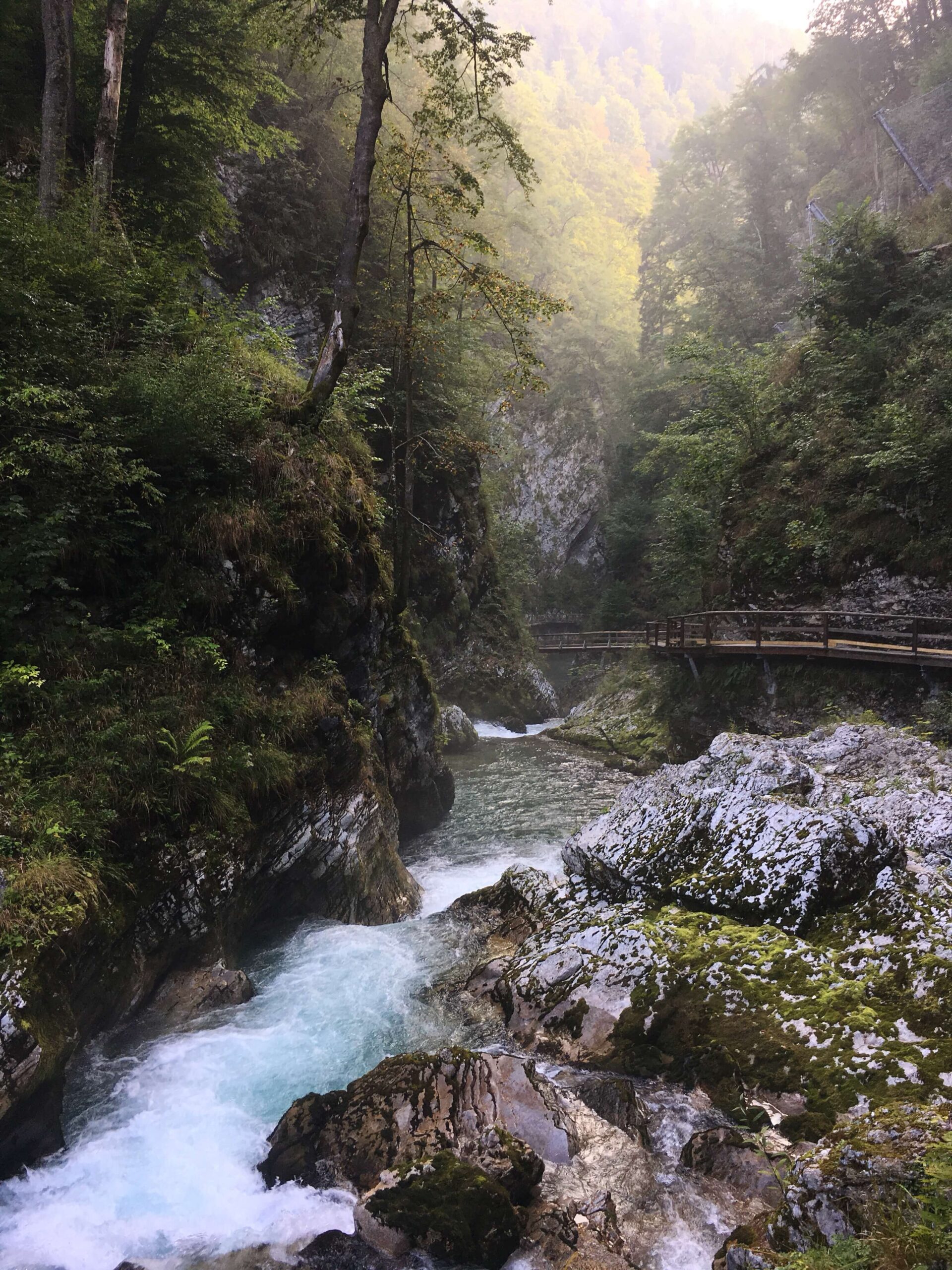 Walkway through Vintgar Gorge