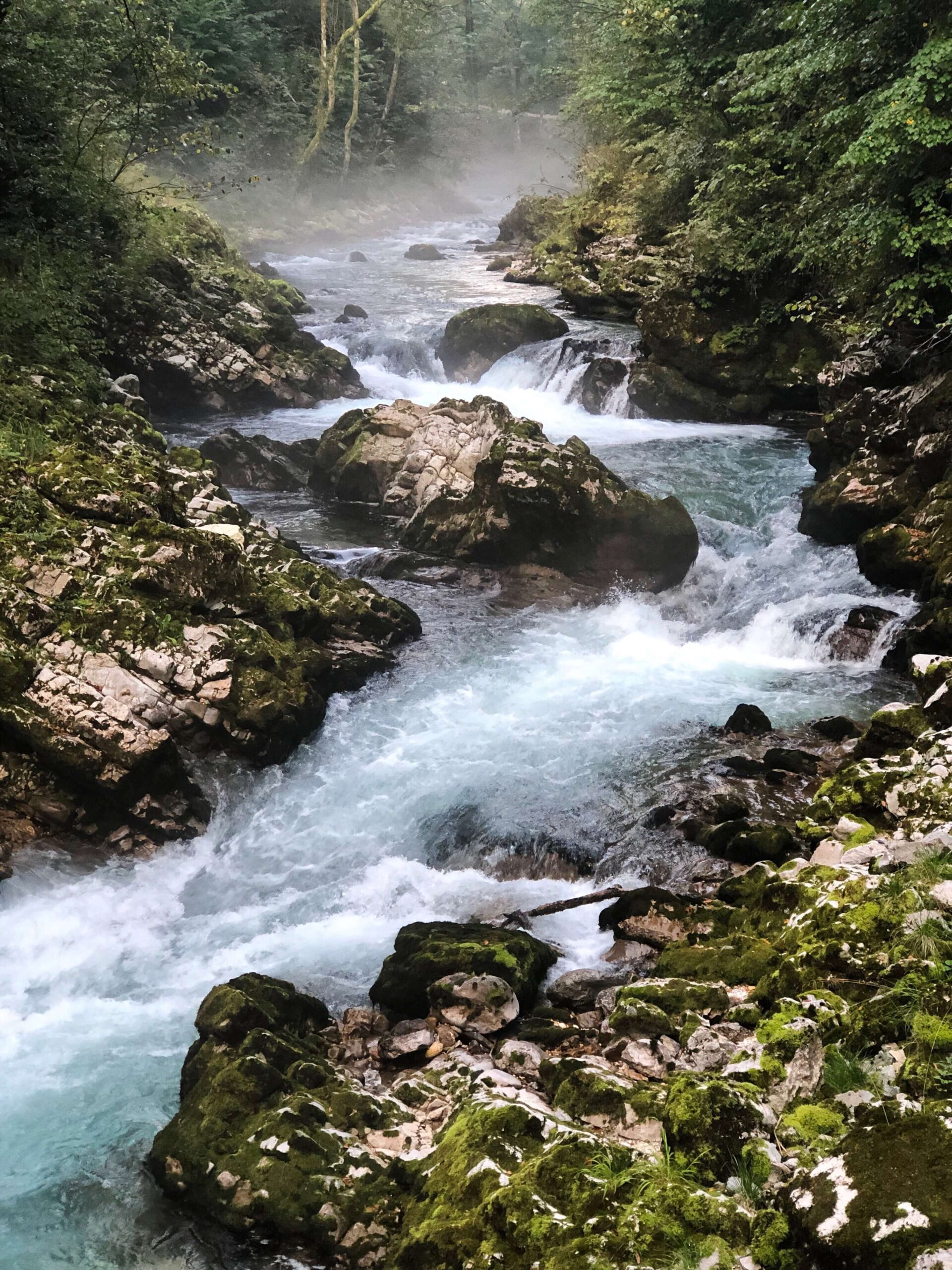 Whitewater flowing through Vintgar Gorge