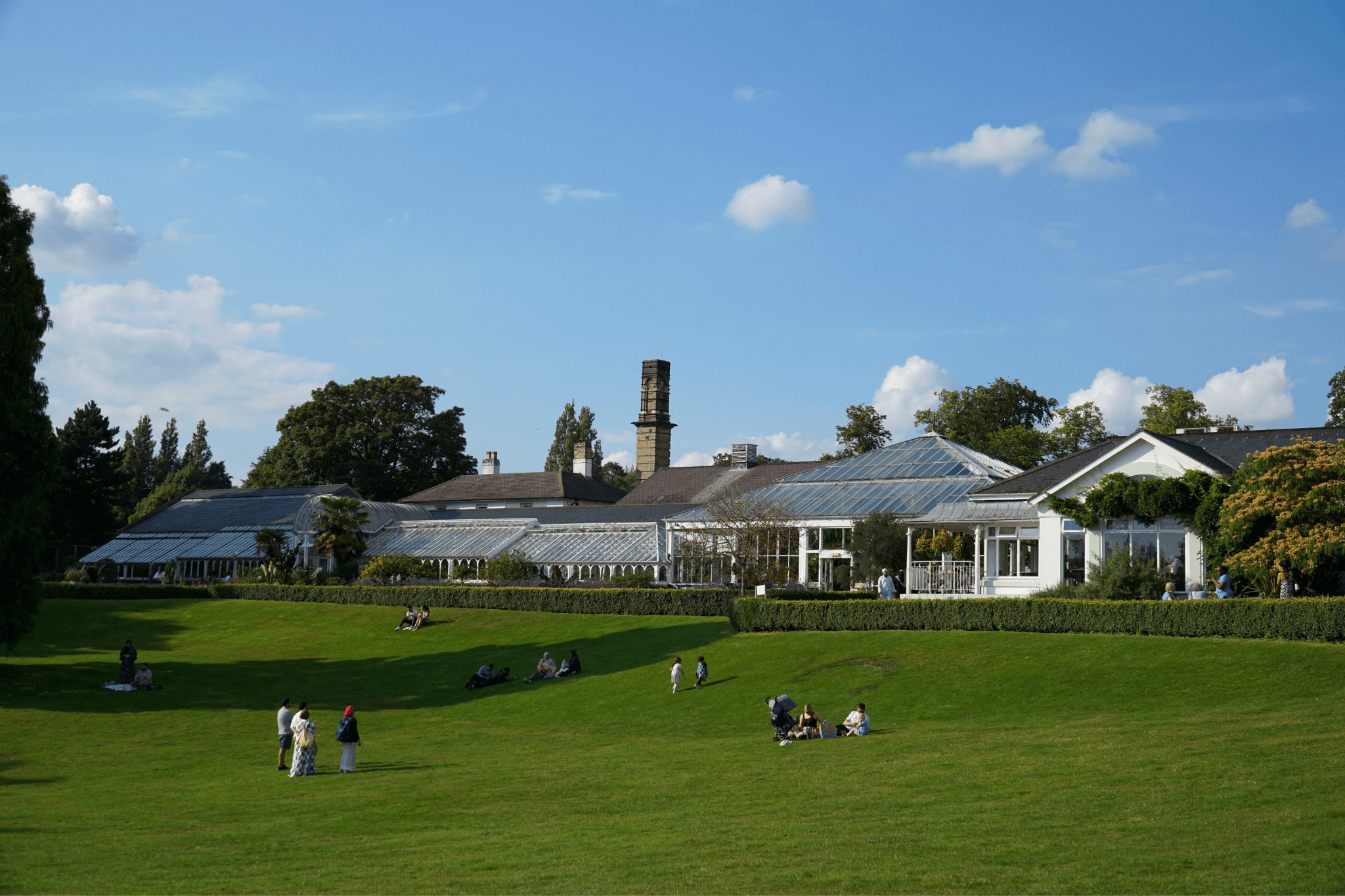 Large lawn and glasshouses at Birmingham Botanical Gardens
