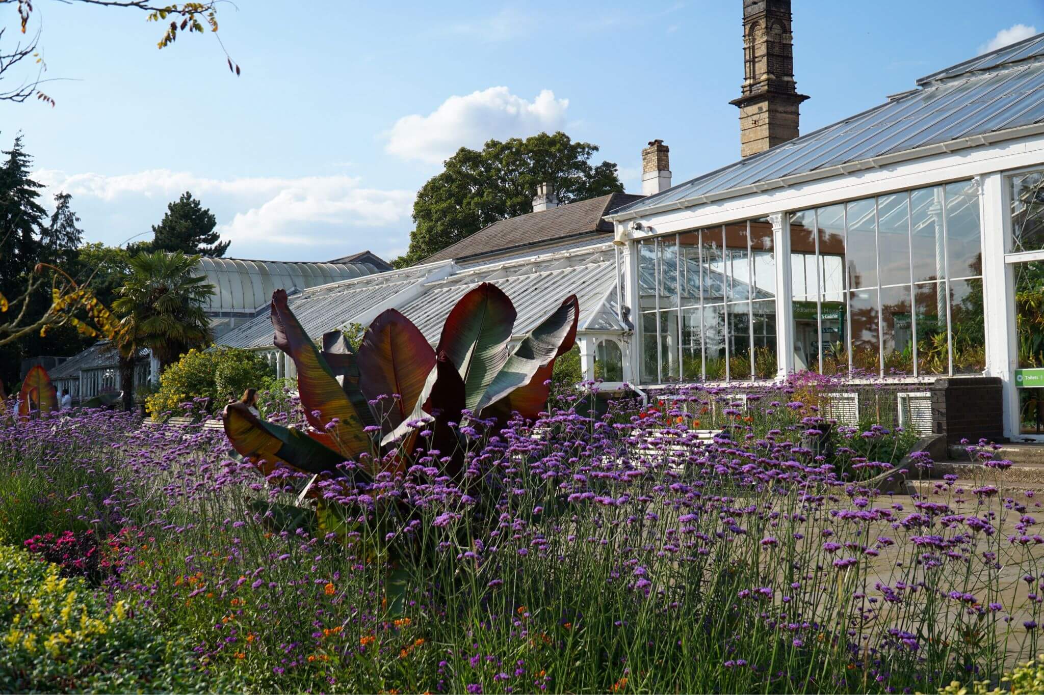 The Glasshouses at Birmingham Botanical Gardens