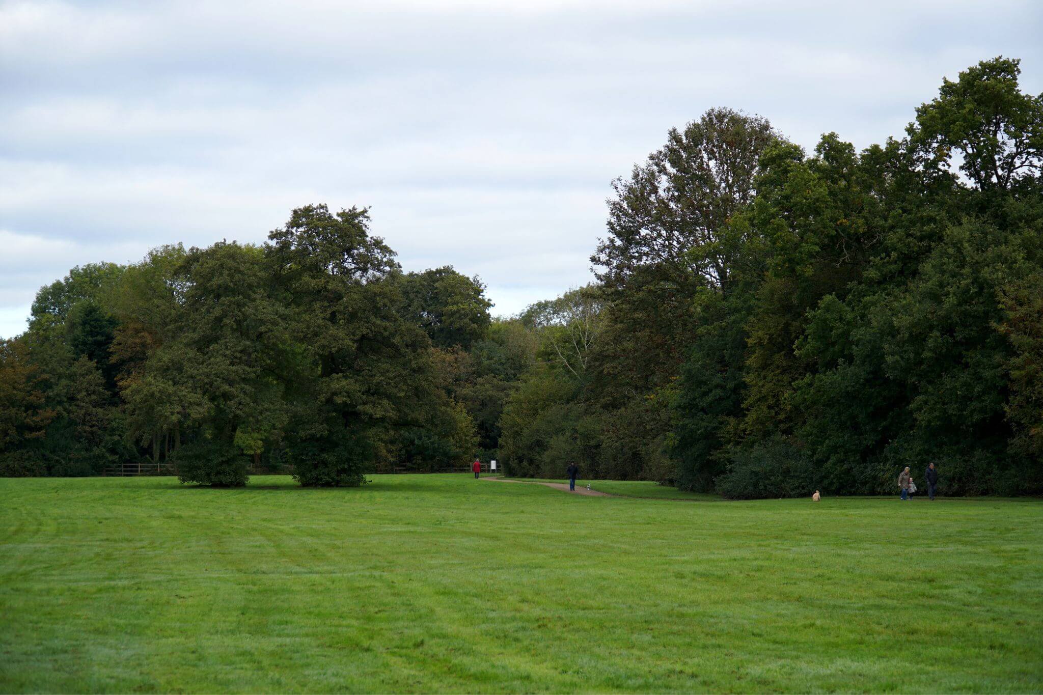 J.R.R Tolkien's former playing field at Shire Country Park