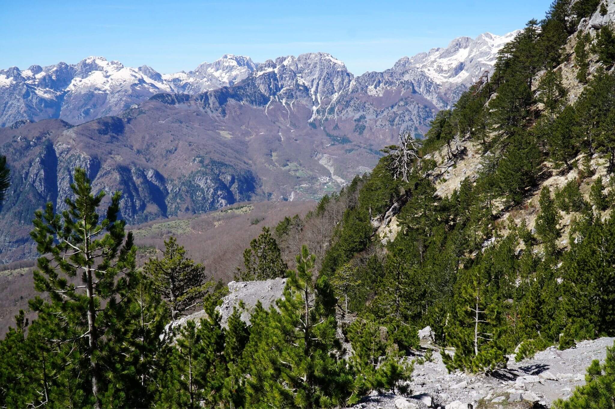 The woodland descent from Valbona to Theth